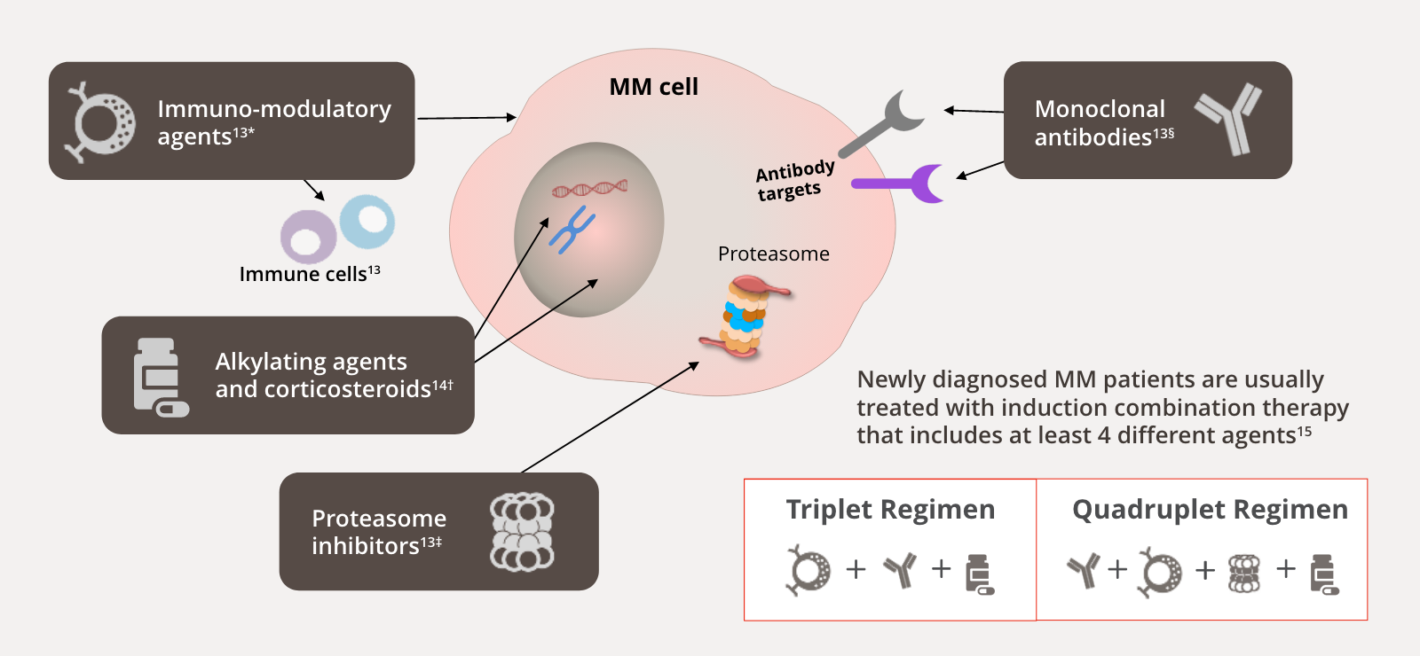 newly diagnosed MM image
